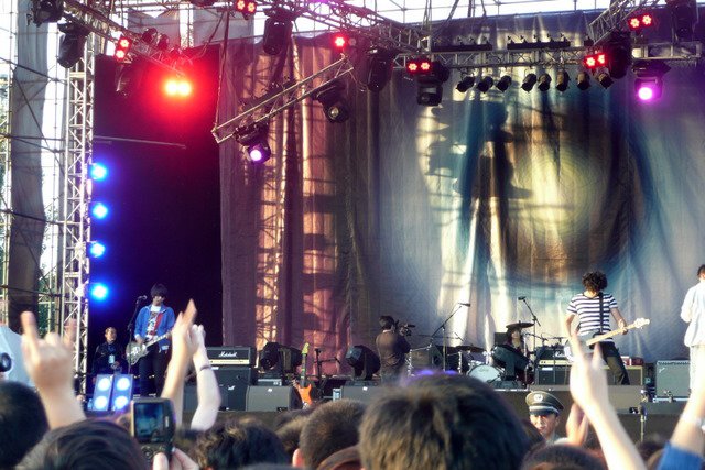 Hedgehog live at a festival