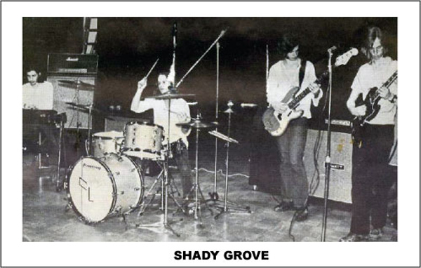 Shady Grove band photo
