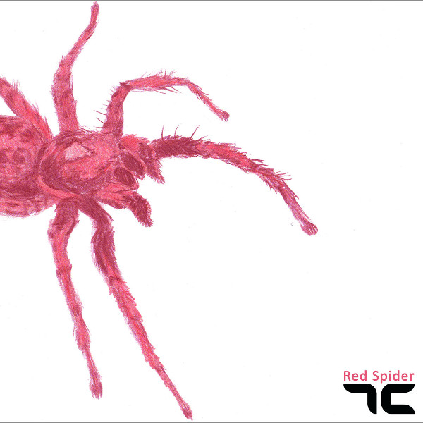 7C — Red Spider