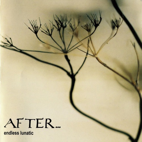 After... — Endless Lunatic