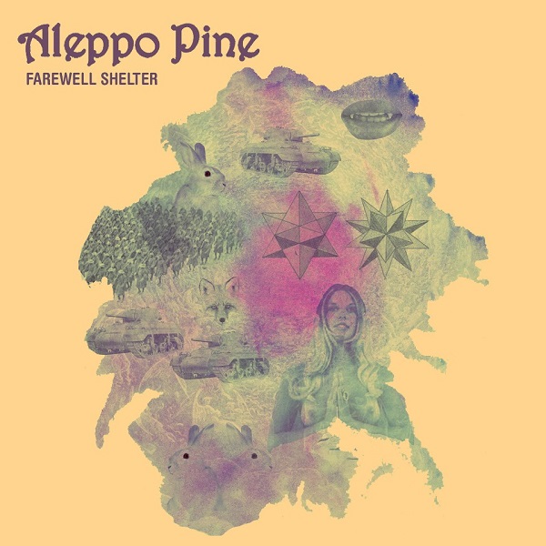 Aleppo Pine — Farewell Shelter