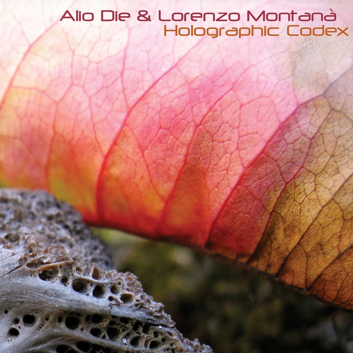 Alio Die & Lorenzo Montanà — Holographic Codex