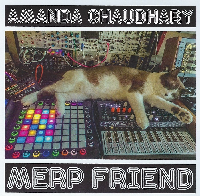 Merp Friend Cover art