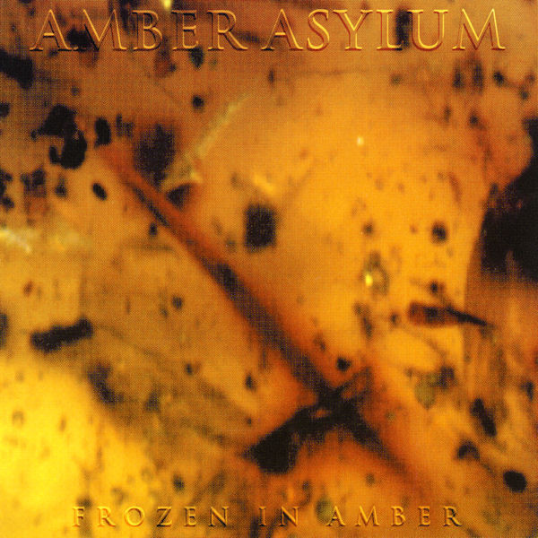 Amber Asylum — Frozen in Amber