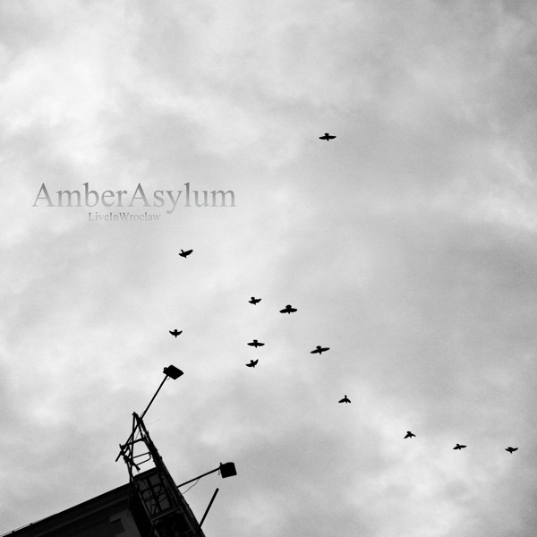 Amber Asylum — Live in Wroclaw