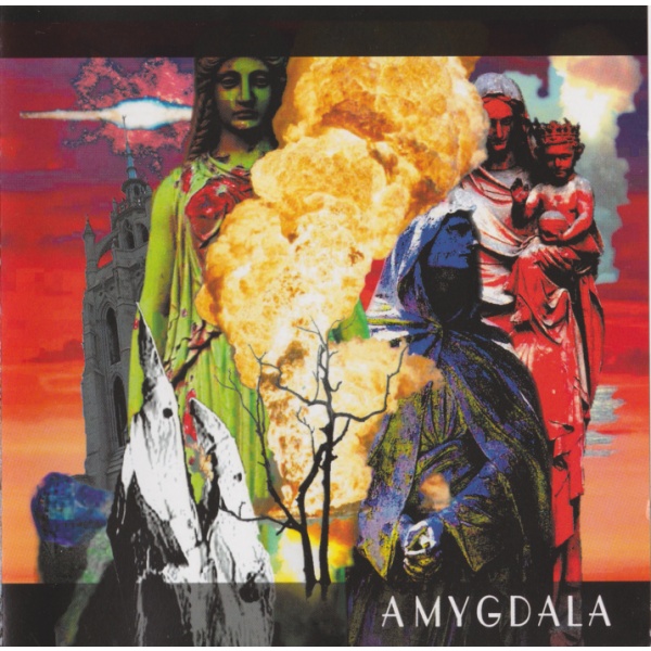 Amygdala Cover art