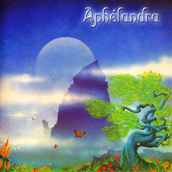 Aphélandra  — Aphélandra