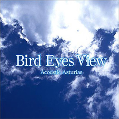 Asturias — Bird Eyes View