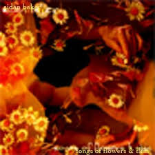 Aidan Baker — Songs of Flowers and Skin