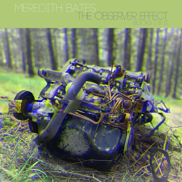 Meredith Bates &mdash; The Obsever Effect, Books I & II