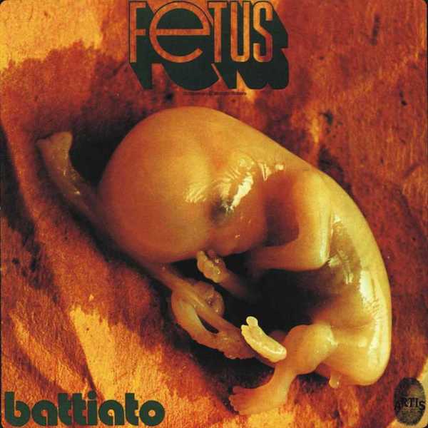 Fetus Cover art