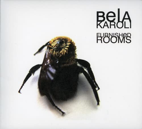 Bela Karoli — Furnished Rooms