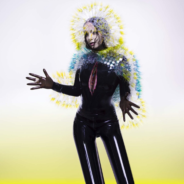 Björk — Vulnicura