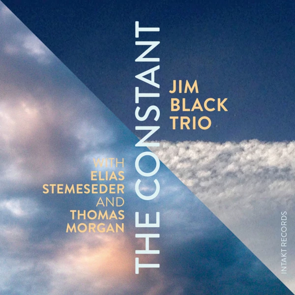 Jim Black Trio — The Constant