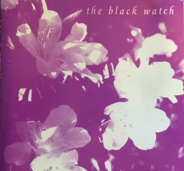 The Black Watch — Flowering