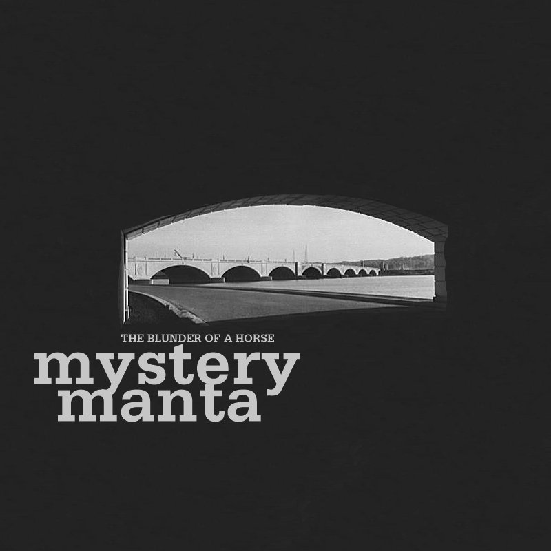 The Blunder of a Horse — Mystery Manta