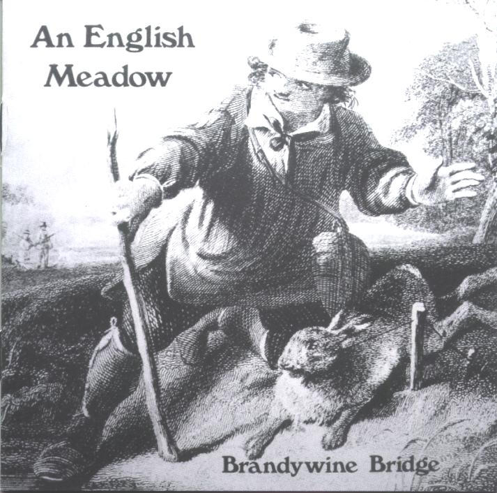 An English Meadow Cover art