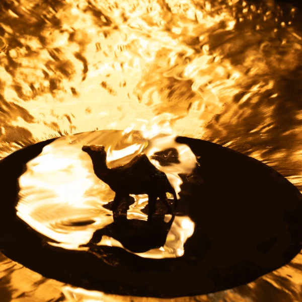 Brass Camel &mdash; Brass Camel