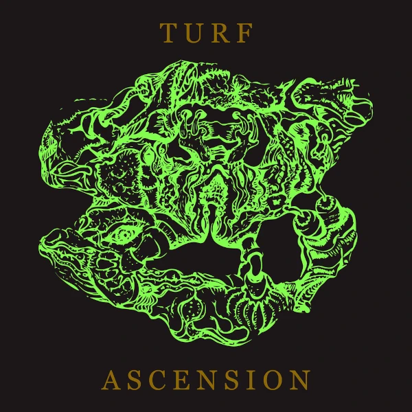 Bubblemath — Turf Ascension
