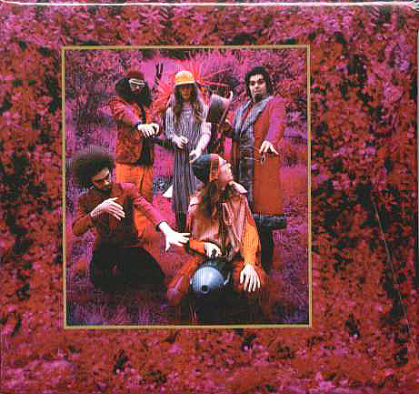 Captain Beefheart & His Magic Band &mdash; Grow Fins - Rarities (1965-1982)