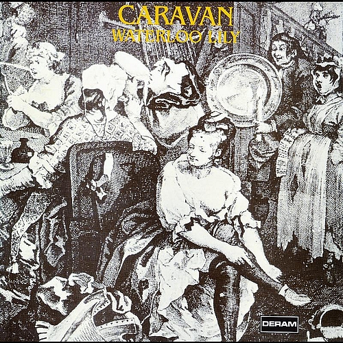 Caravan — Waterloo Lily