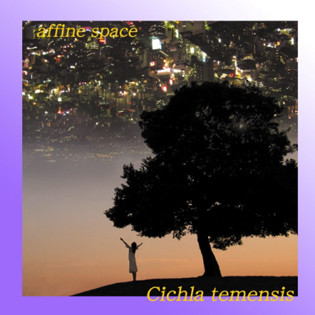 Cichla Temensis — Affine Space