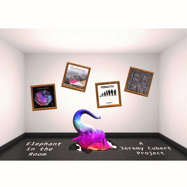 Elephant in the Room Cover art