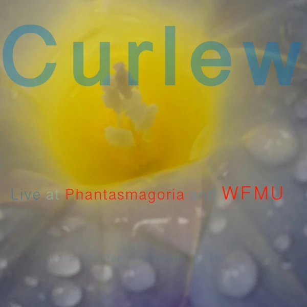 Curlew — Phantasmagoria 1998 / WFMU 1997