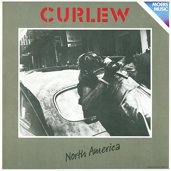 Curlew — North America