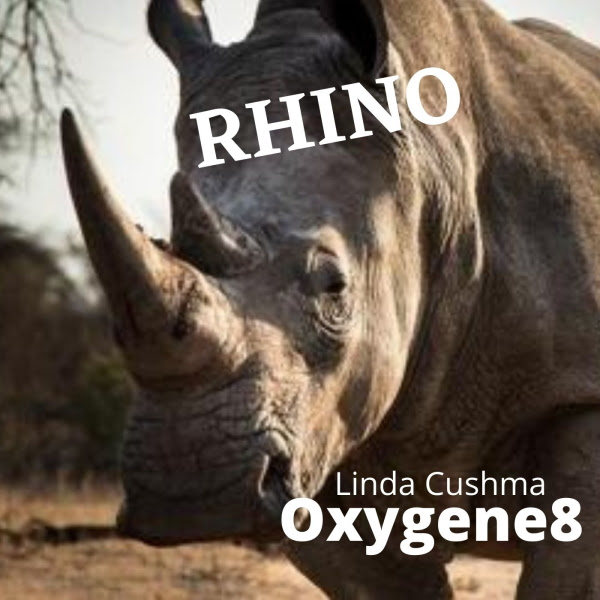 Linda Cushma / Oxygene8 — Rhino