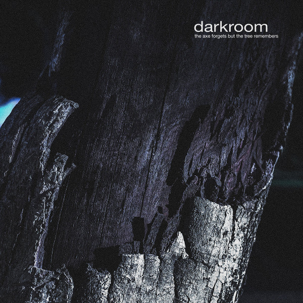 Darkroom — The Axe Forgets but the Tree Remembers