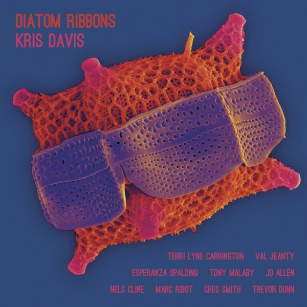 Kris Davis — Diatom Ribbons