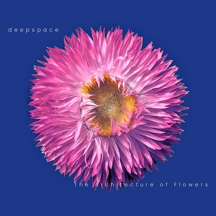 Deepspace — The Architecture of Flowers