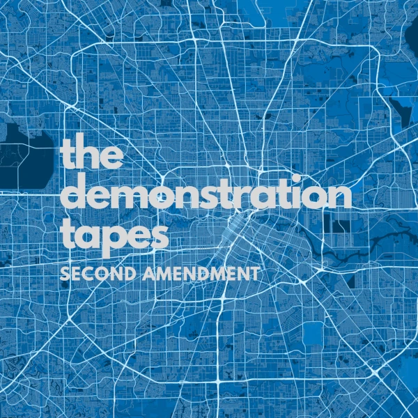 The Demonstration Tapes &mdash; Second Amendment