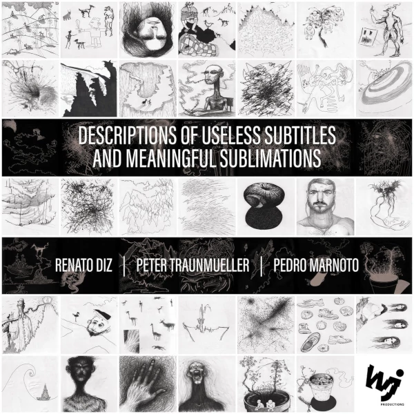 Renato Diz / Peter Traunmueller — Descriptions or Useless Subtitles and Meaningful Sublimations