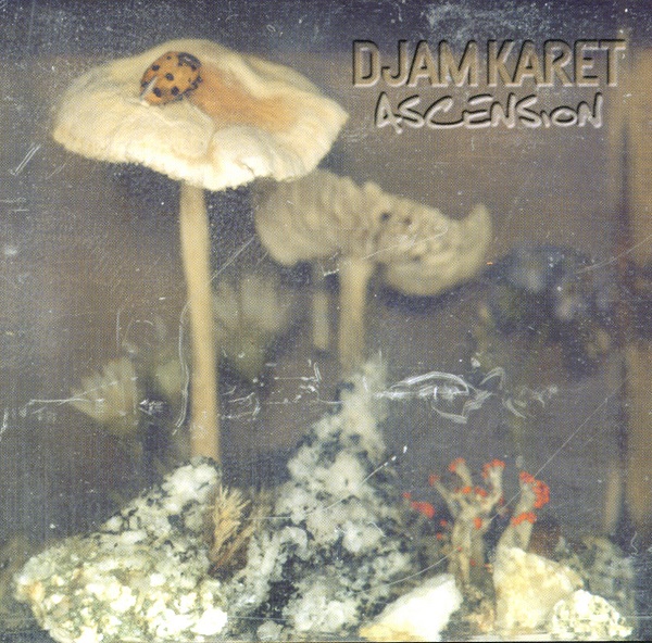 Djam Karet — Ascension: New Dark Age Vol. 2