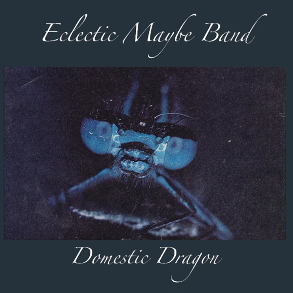 Eclectic Maybe Band &mdash; Domestic Dragon