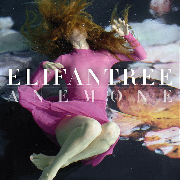 Elifantree — Anemone