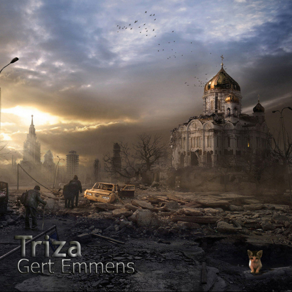 Gert Emmens — Triza