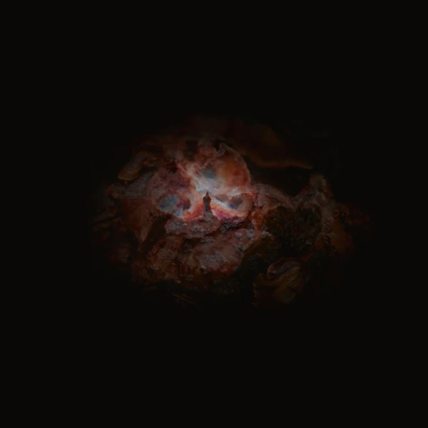 Emmerhoff & the Melancholy Babies &mdash; The Dying of the Light