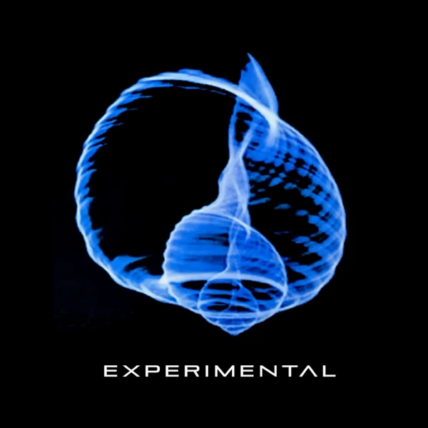 Experimental — Homónimo