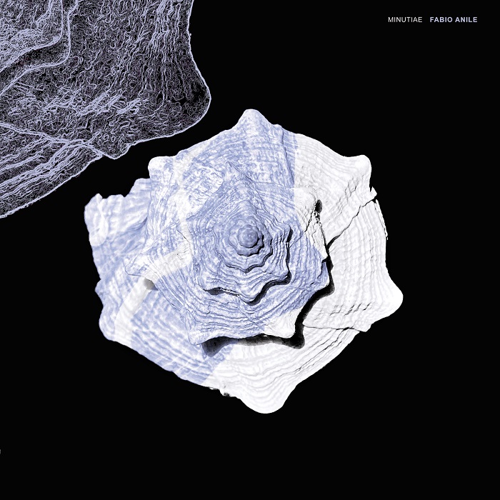 Fabio Anile &mdash; Minutiae