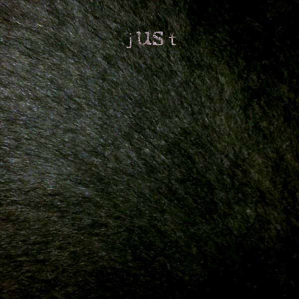 jUSt (Just Us) Cover art