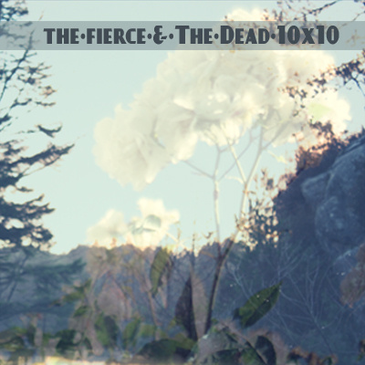 The Fierce and the Dead — 10x10