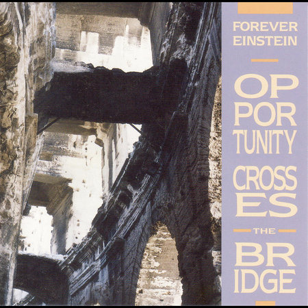 Forever Einstein - Opportunity Crosses the Bridge cover