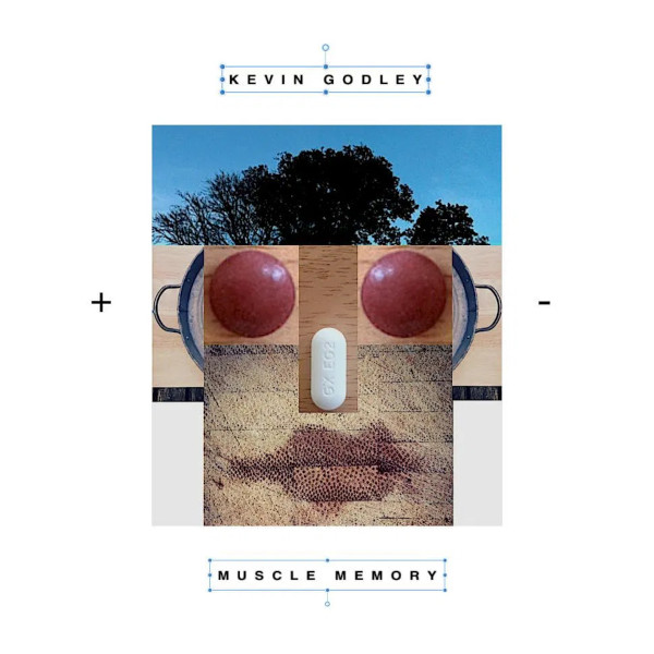 Kevin Godley — Muscle Memory