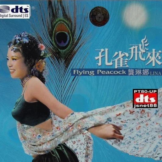 Gong Linna — Kongque Fei Lai