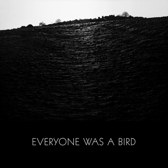 Grasscut — Everyone Was a Bird