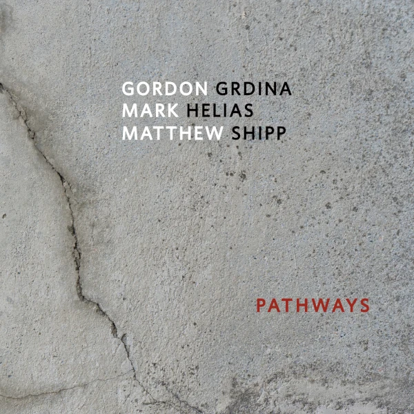 Gordon Grdina / Mark Helias / Matthew Shipp — Pathways