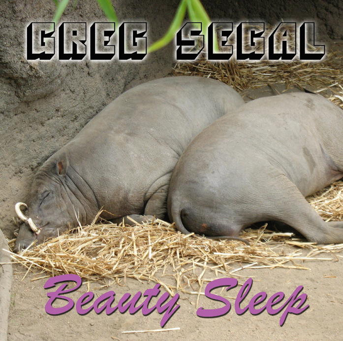 Beauty Sleep Cover art